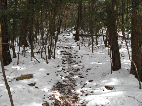20140211hike (40)
